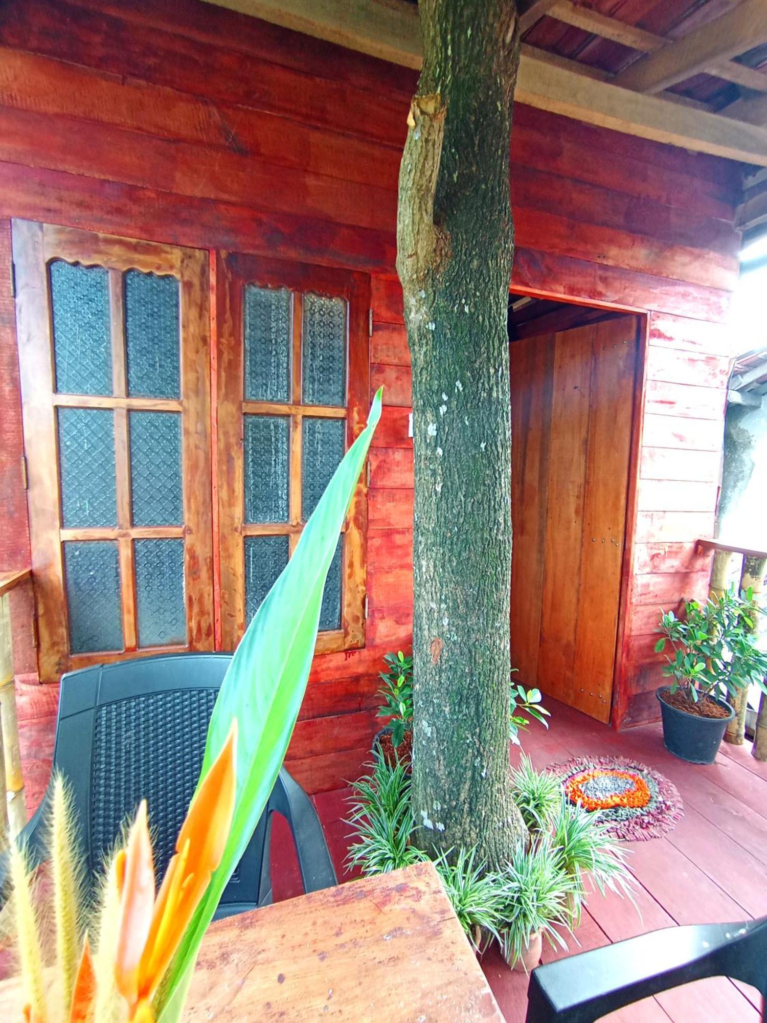 Parrot Tree House Villa Мириса Екстериор снимка