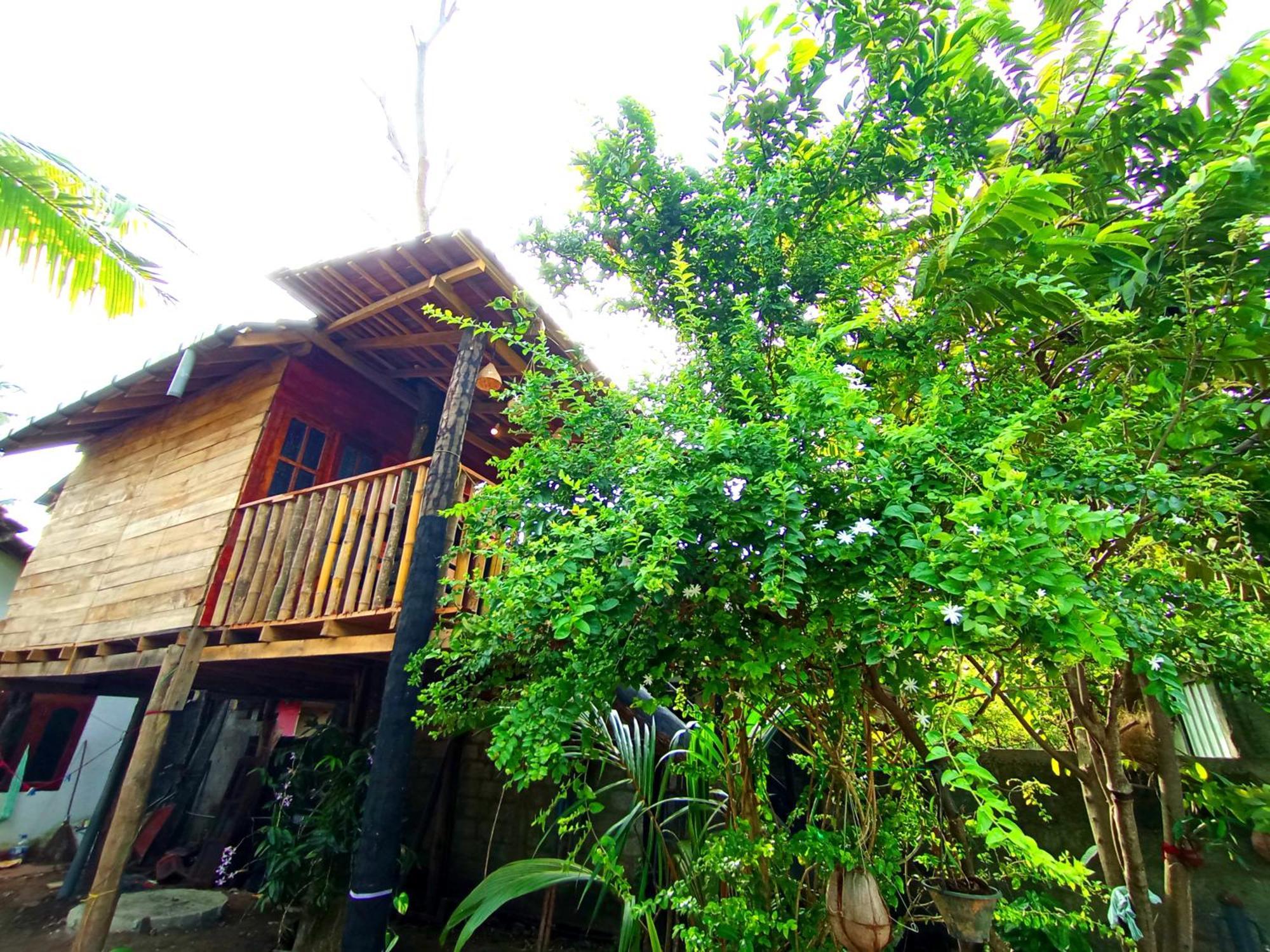 Parrot Tree House Villa Мириса Екстериор снимка