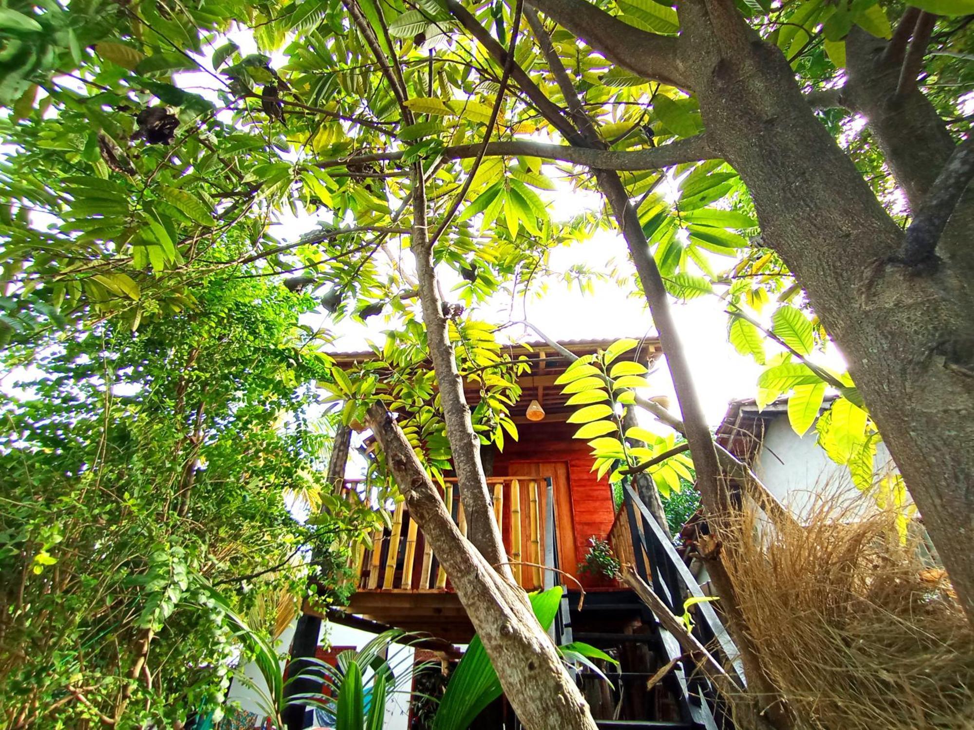 Parrot Tree House Villa Мириса Екстериор снимка